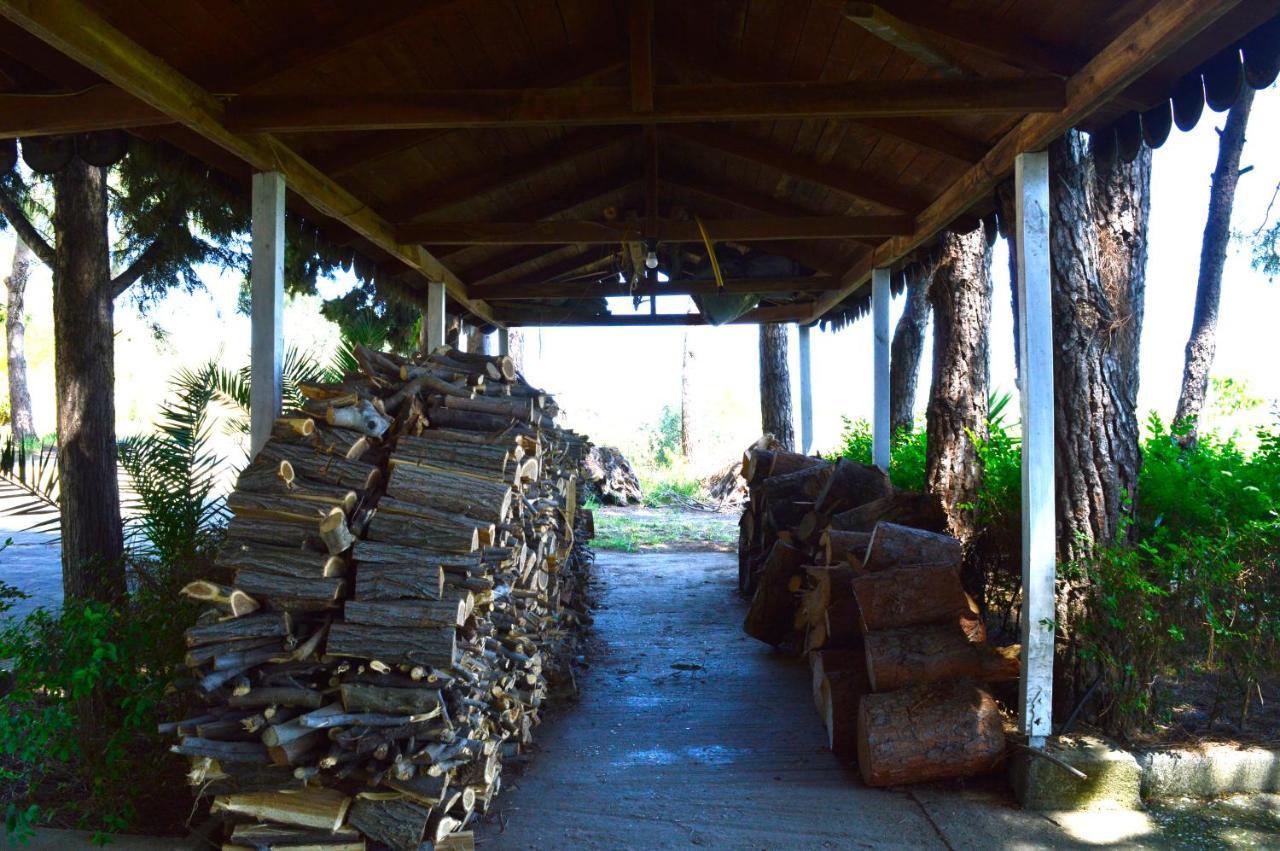 Hotel Nature Kolonje Luaran gambar