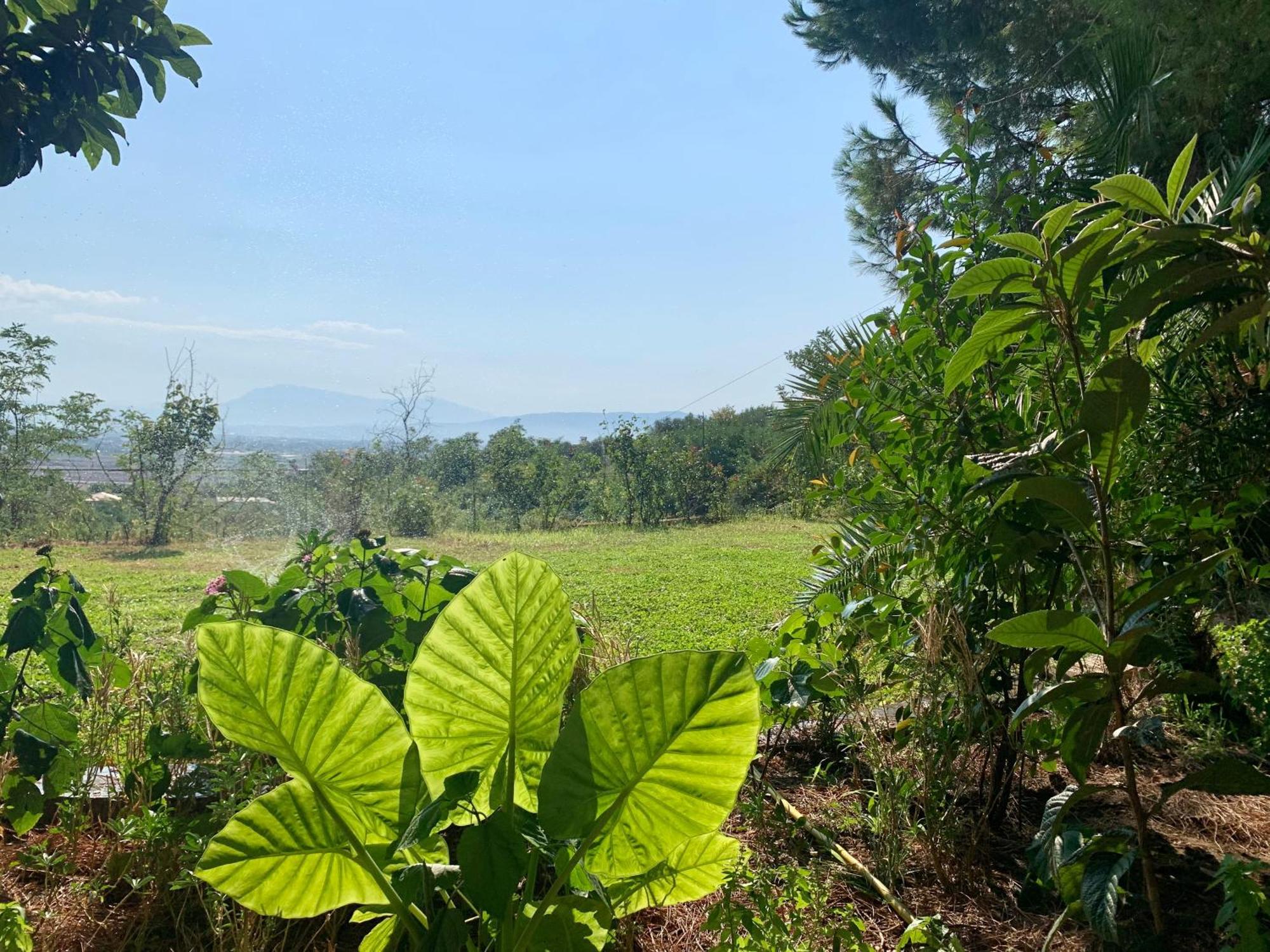 Hotel Nature Kolonje Luaran gambar